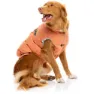 Fuzzyard Ashbury Hundjacka