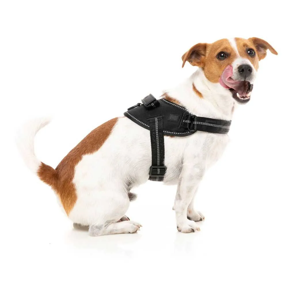 Fuzzyard Blackout Hundsele Fuzzyard Blackout Hundsele