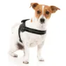 Fuzzyard Blackout Hundsele