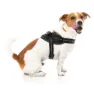 Fuzzyard Blackout Hundsele