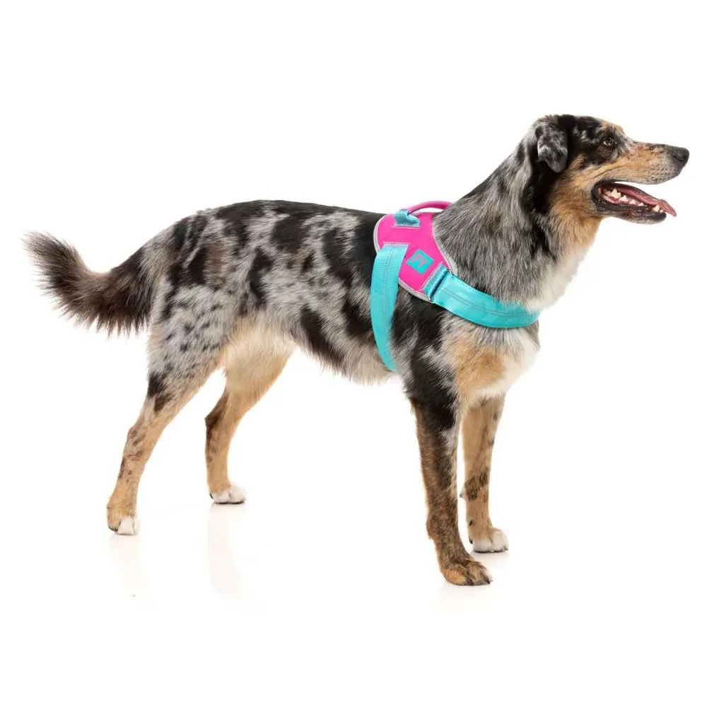 Fuzzyard Bubblegum Hundsele