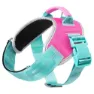 Fuzzyard Bubblegum Hundsele