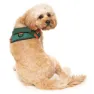 Fuzzyard Commando Hundsele