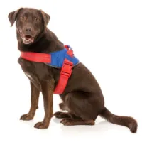 Fuzzyard Patriot Hundsele Fuzzyard Patriot Hundsele