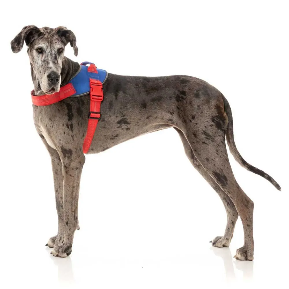 Fuzzyard Patriot Hundsele Fuzzyard Patriot Hundsele