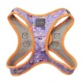 Fuzzyard Step In Aloha Dolphins Hundsele
