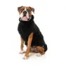 Fuzzyard Turtle Teddy Hundjacka