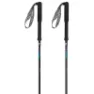 Gabel Carbon Feather-r Stavar