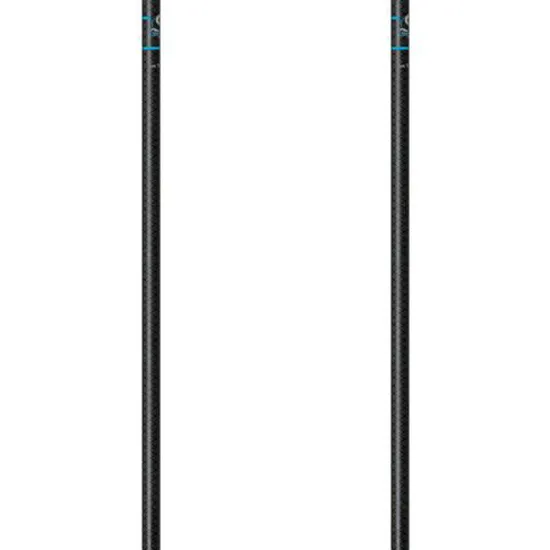 Gabel Carbon Feather-r Stavar
