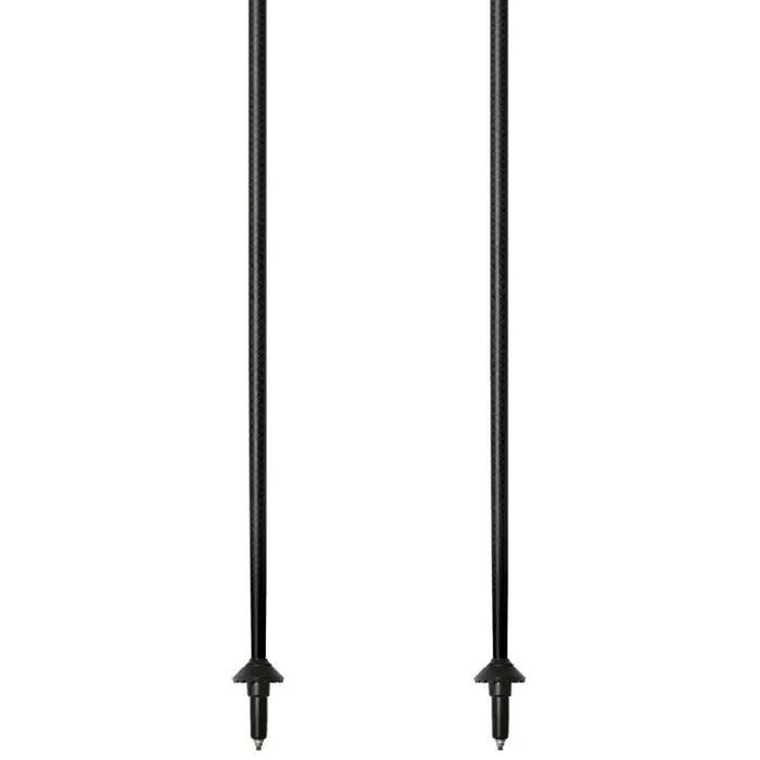 Gabel Carbon Feather-r Stavar