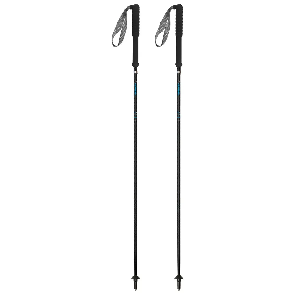 Gabel Carbon Feather-r Stavar