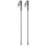Gabel Carbon Feather-r Stavar