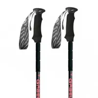 Gabel Escape Carbon Tour Lite Stavar