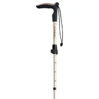 Gabel Explorer Wired F.l Xts Stavar