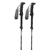 Gabel Hybrid Carbon Xts Stavar