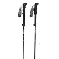 Gabel Ibex Carbon Xtl Stavar