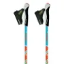 Gabel Nordic Energy F.l Stavar, Multicolor, 70-110cm