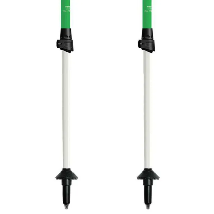 Gabel Nordic Energy F.l Stavar, Multicolor, 70-110cm