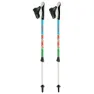 Gabel Nordic Energy F.l Stavar, Multicolor, 70-110cm