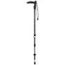 Gabel Voyager F.l A.i Stavar, Green, 56-110cm