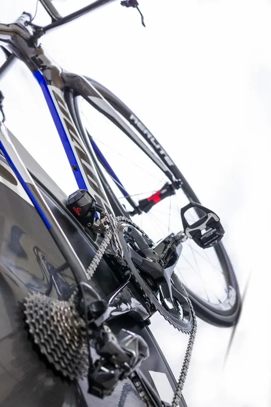 Gavia Daedalus ramset 2019, S