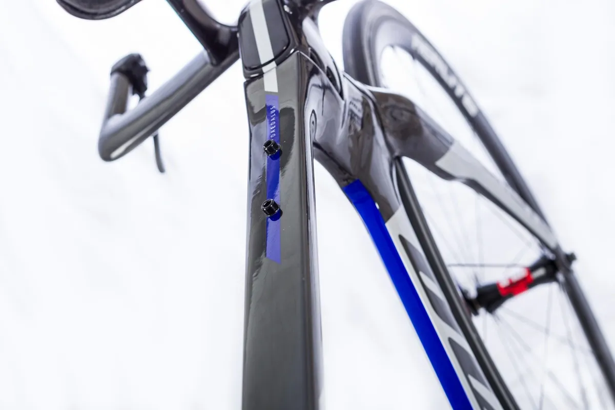 Gavia Daedalus ramset 2019, S