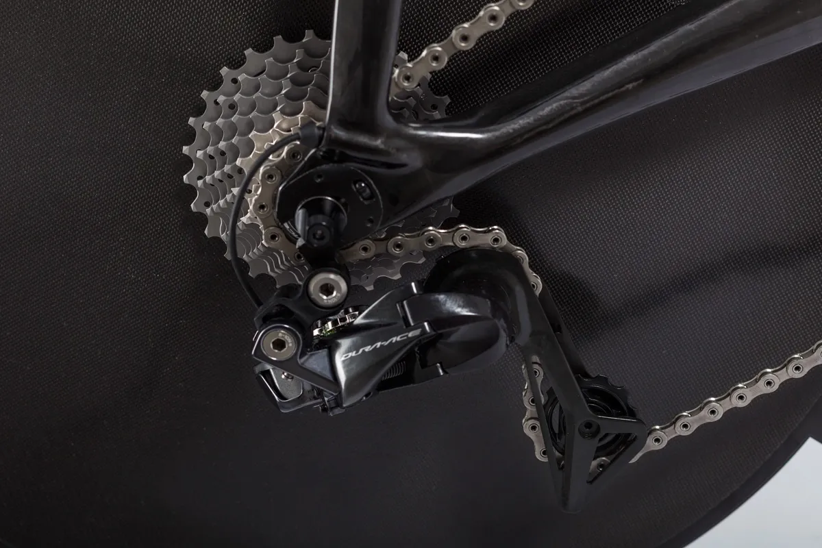 Gavia Daedalus ramset 2019, S