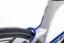 Gavia Daedalus ramset 2019, S