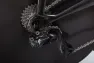 Gavia Daedalus ramset 2019, S