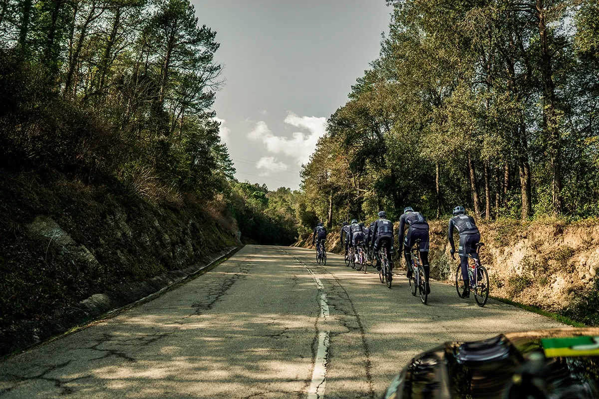 Gavia Imperiale Röd DISC Ramset 2019, M Gavia Imperiale Röd DISC Ramset 2019, M
