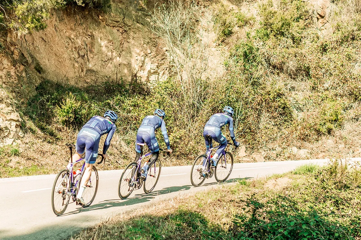 Gavia Imperiale vitt ramset 2019, XL