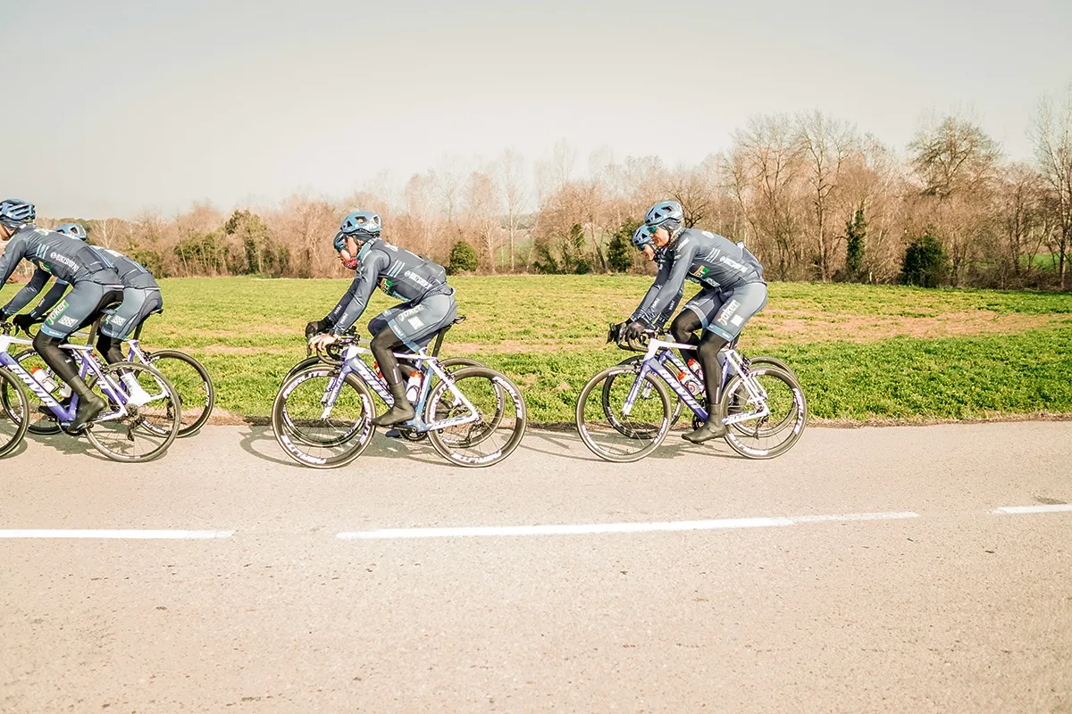 Gavia Imperiale vitt ramset 2019, XL