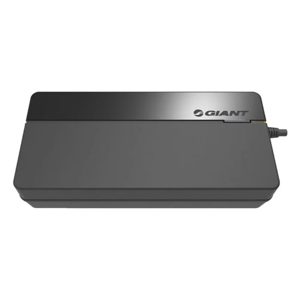 Giant Energypack L-type Eu Batteriladdare, Black, One Size