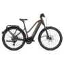 Giant Explore E+ 1 Pro Sta 2024 Elcykel, Truffle, S, 800Wh