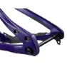 Giant Glory Advanced Legends Edition Frameset Mtb-ram