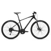 Giant Roam Disc 2 Alivio 2022 Cykel Giant Roam Disc 2 Alivio 2022 Cykel