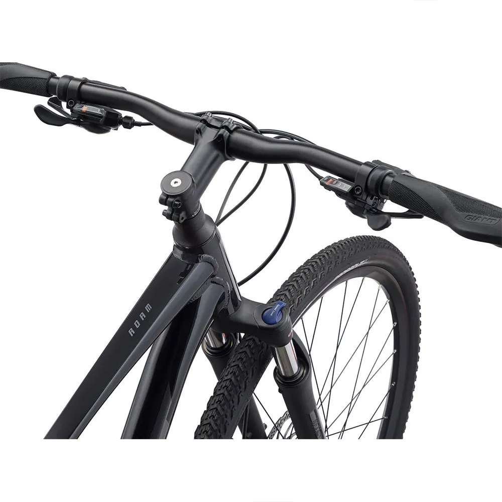 Giant Roam Disc 2 Alivio 2022 Cykel
