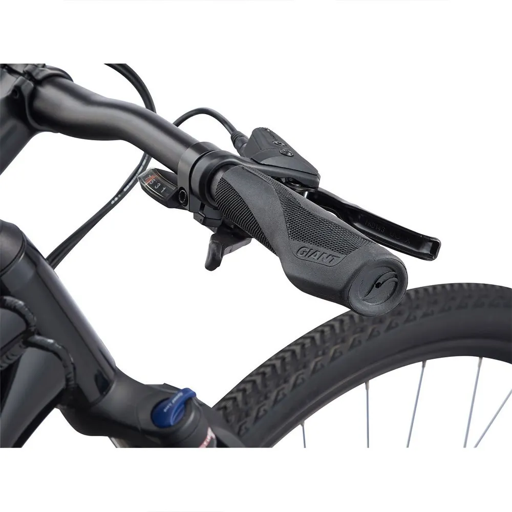 Giant Roam Disc 2 Alivio 2022 Cykel