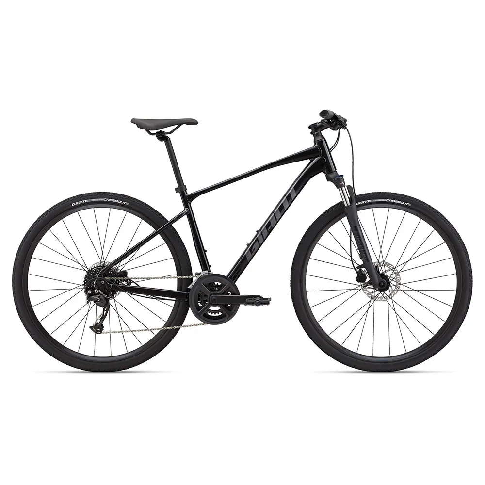 Giant Roam Disc 2 Alivio 2022 Cykel
