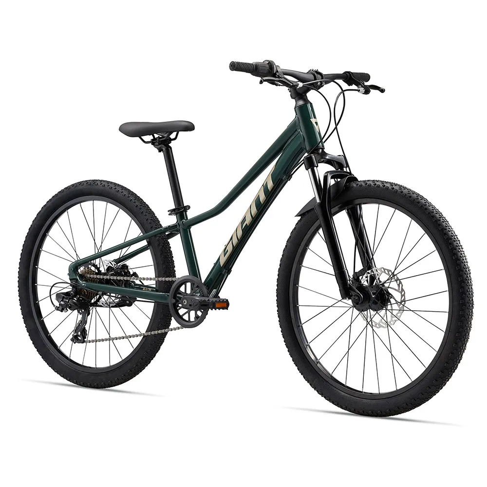 Giant Talon 24´´ Disc 2024 Cykel, Green, One Size Giant Talon 24´´ Disc 2024 Cykel, Green, One Size