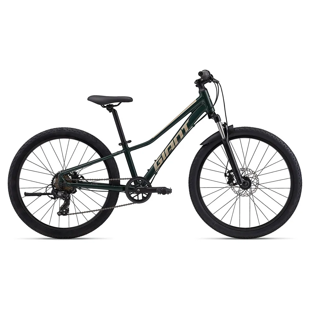 Giant Talon 24´´ Disc 2024 Cykel, Green, One Size Giant Talon 24´´ Disc 2024 Cykel, Green, One Size