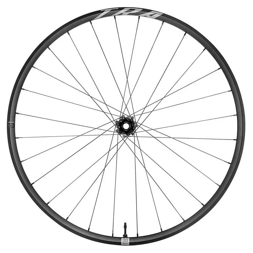 Giant Tra 29´´ Boost 6b Disc Tubeless Hookless Mtb Framhjul, Black, 15 x 110mm