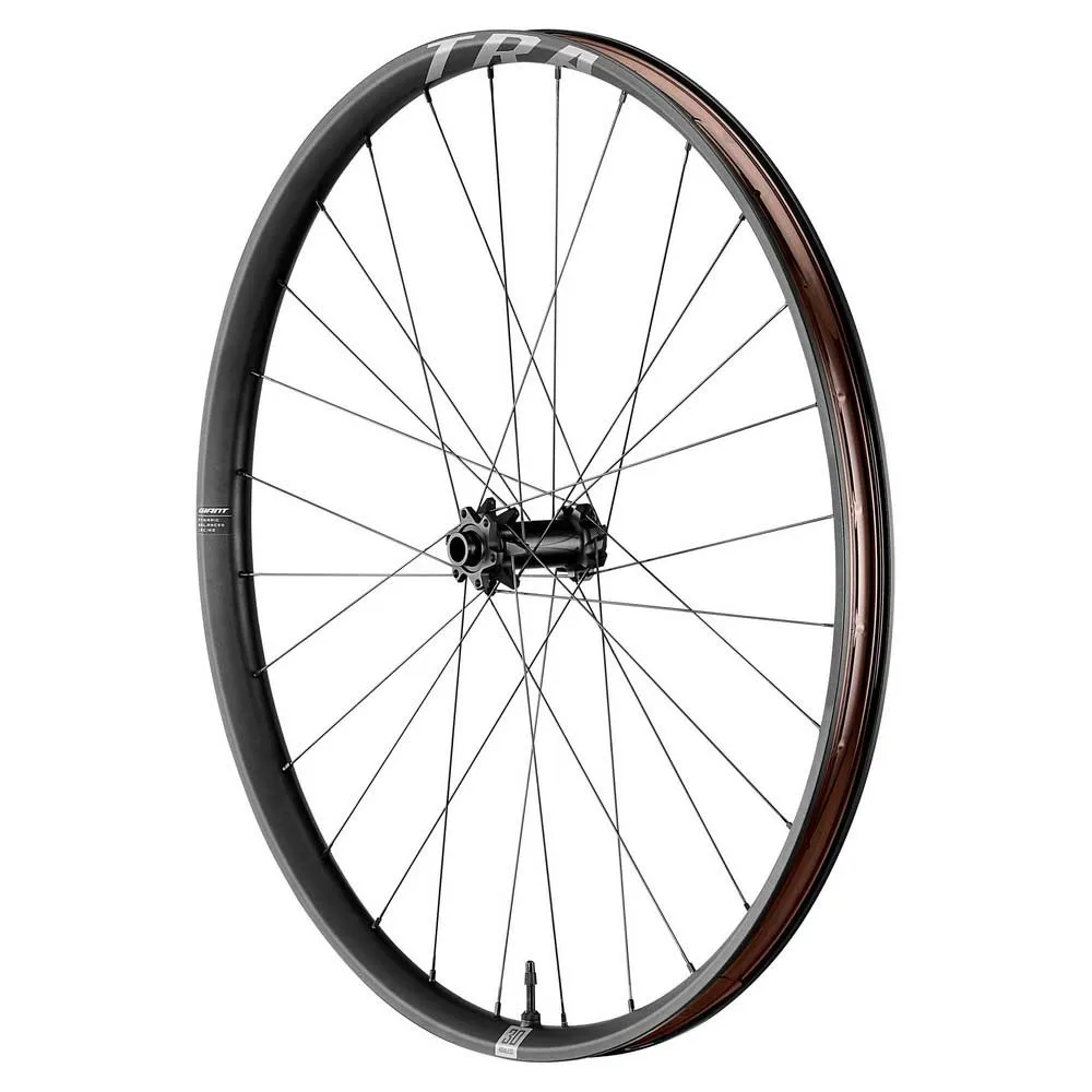 Giant Tra 29´´ Boost 6b Disc Tubeless Hookless Mtb Framhjul, Black, 15 x 110mm