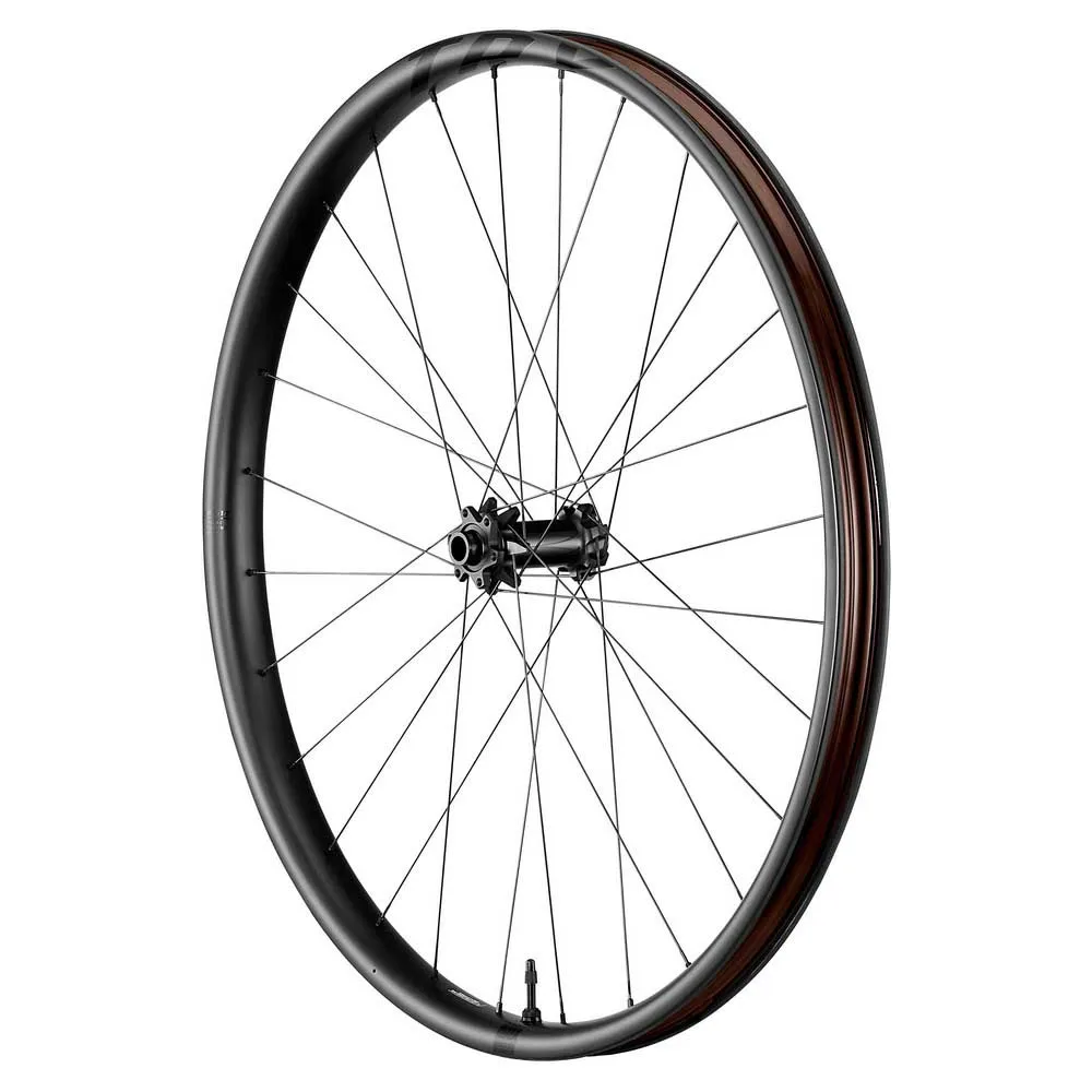 Giant Trx 29´´ Boost 6b Disc Tubeless Hookless Mtb Framhjul, Black, 15 x 110mm