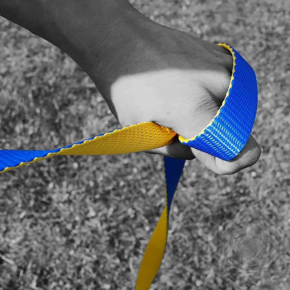 GIBBON Slacklines Flow Line Treewear Slackline, Blue, 25m GIBBON Slacklines Flow Line Treewear Slackline, Blue, 25m