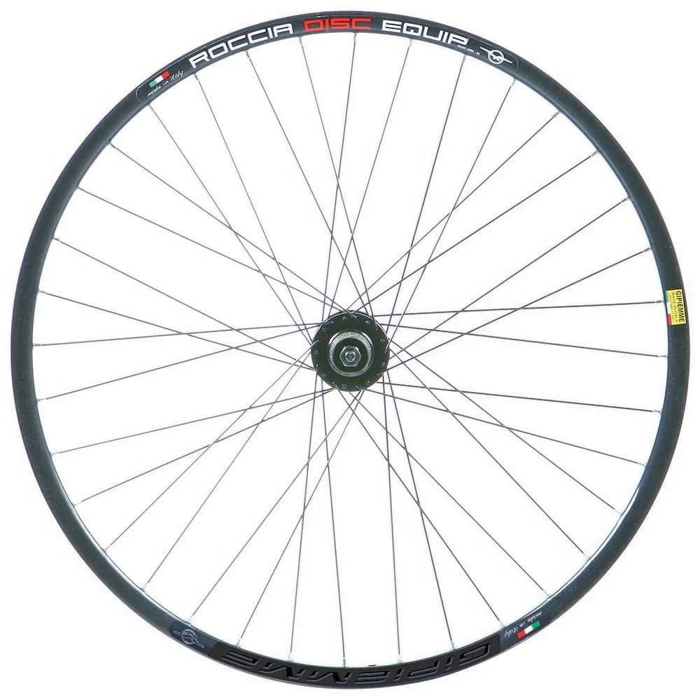 Gipiemme Equipe Roccia 29´´ 6b Disc Mtb-hjulset, Black, 9 x 100 / 9 x 135mm, Shimano/Sram HG