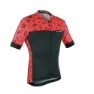 Black / Red