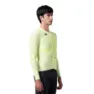 Shadow Lime
