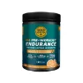 Gold Nutrition Pre-Workout Endurance, Orange, 300g