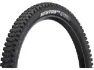 Goodyear Newton MTR Downhill Tubeless Complete 29" Faltreifen